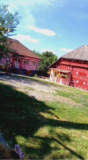 Casă cu 2 camere în Ariniș