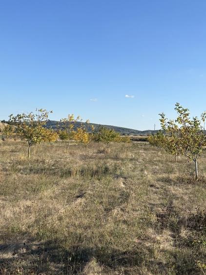 Casă cu 3 camere în Central