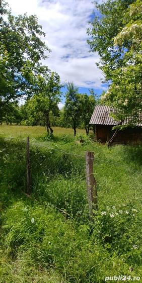 Teren de 7000 mp, în Tănăsești