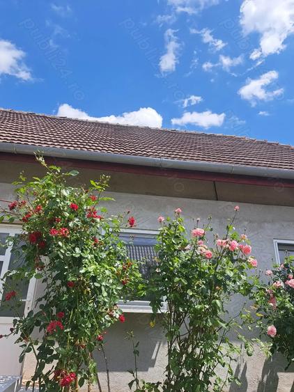 Casă cu 6 camere cu Teren 1880 Mp în Parța