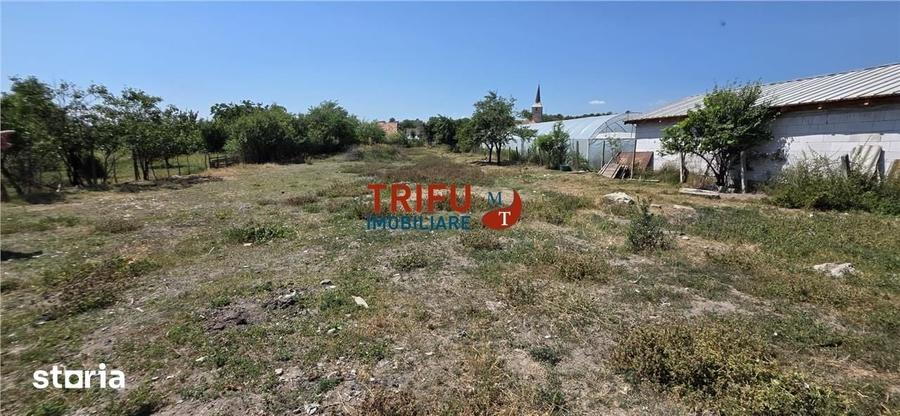 Casă cu 3 camere cu Teren 2398 Mp în Cricău
