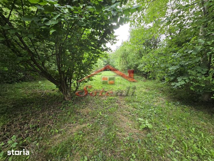 Teren intravilan de vanzare in Cornu de Sus 1.363 mp fara inclinatie - 4