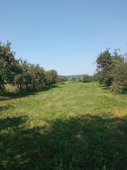Casă cu 2 camere cu Teren 2500 Mp în Lalașinț