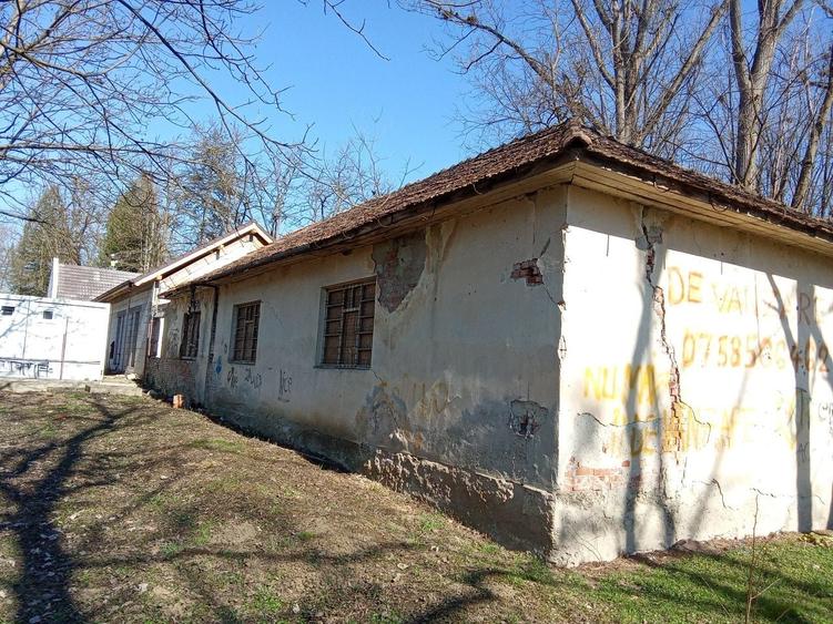 Spațiu comercial, de 409 mp, în Nicula