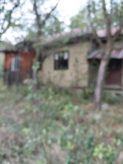 Casă cu Teren 15000 Mp în Bisoca