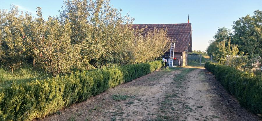 Teren agricol extravilan de 23500 mp, în Grădiștea