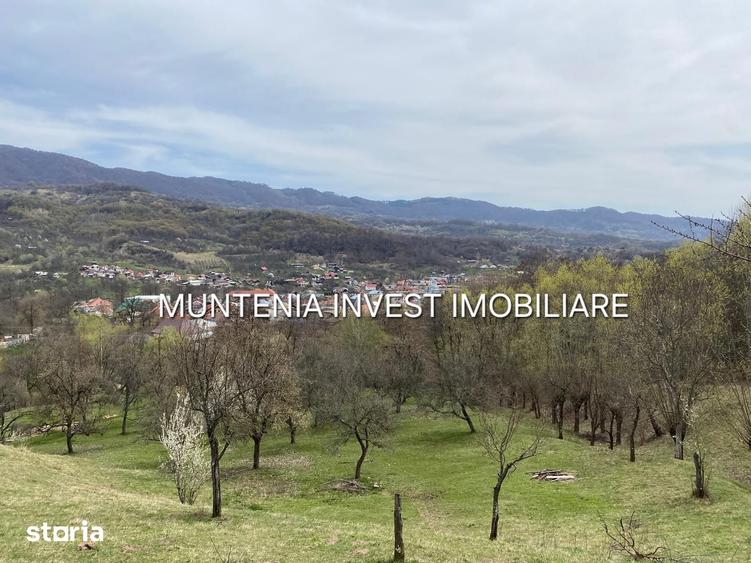 Teren de 2765 mp, în Albota