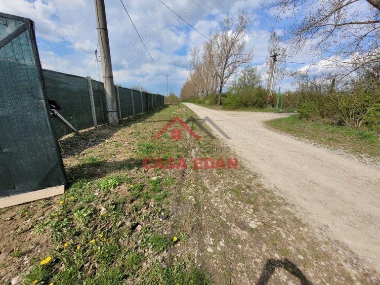 Teren extravilan in Baicoi 10.000mp plantatie mure --80.000e - 6