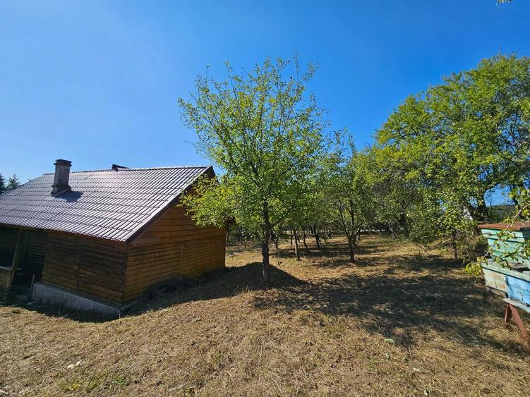 Teren de 1512 mp, în Olteni