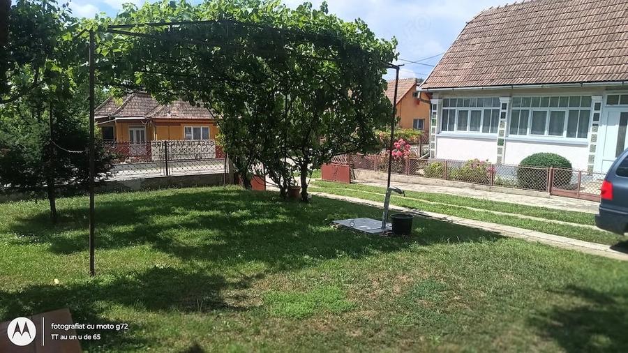 Casă cu Teren 5500 Mp în Pădurenii (Tritenii de Jos)