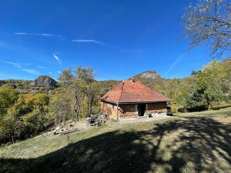 Casă cu 3 camere cu Teren 15000 Mp în Buceș