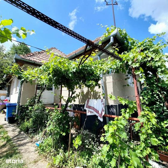 Casa cu teren in Salicea - 4
