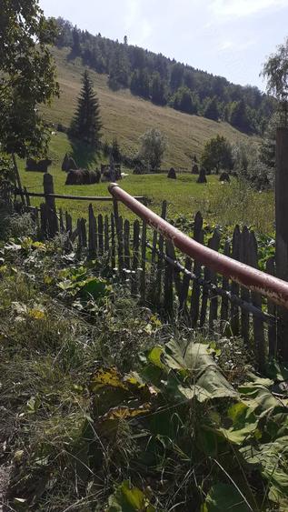 Teren de 716 mp, în Poiana Teiului