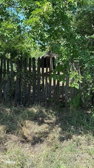 Teren intravilan judetul Giurgiu - 1