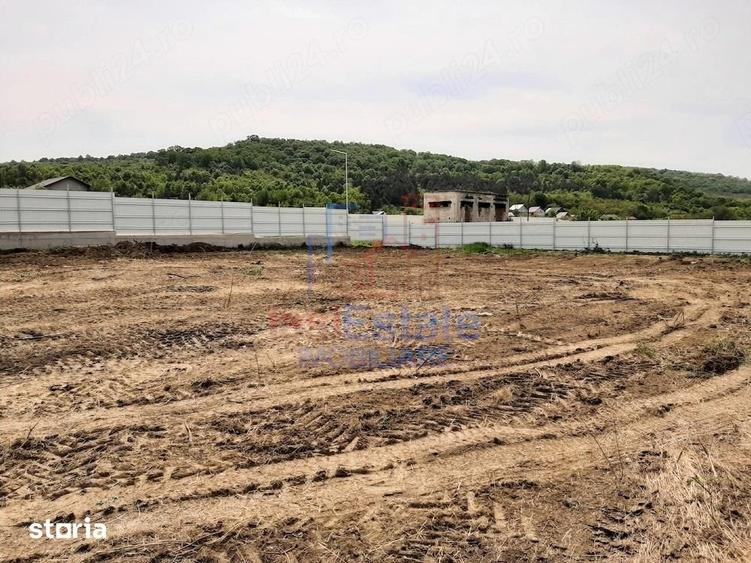 Vladiceni TEREN 1480mp la numai 200m de str Trei Fantani asfalt si uti - 1