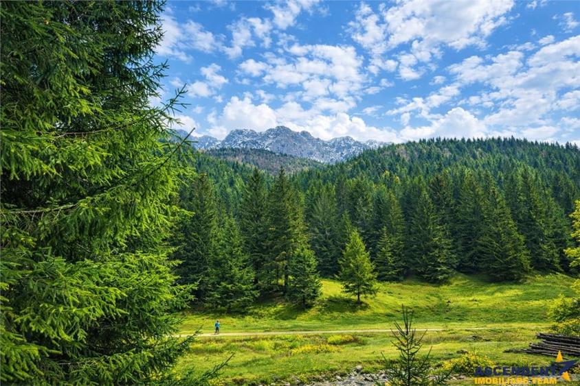 Teren de 4591 mp, în Zărnești