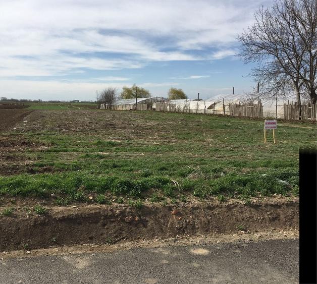 Teren de 2250 mp, în Chiscani