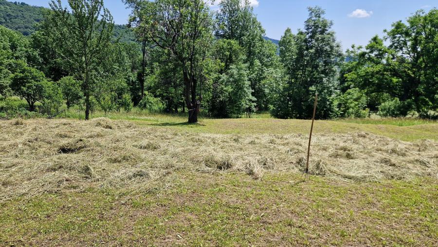 Teren de vanzare 2.000 mp, Comarnic, Prahova - 3