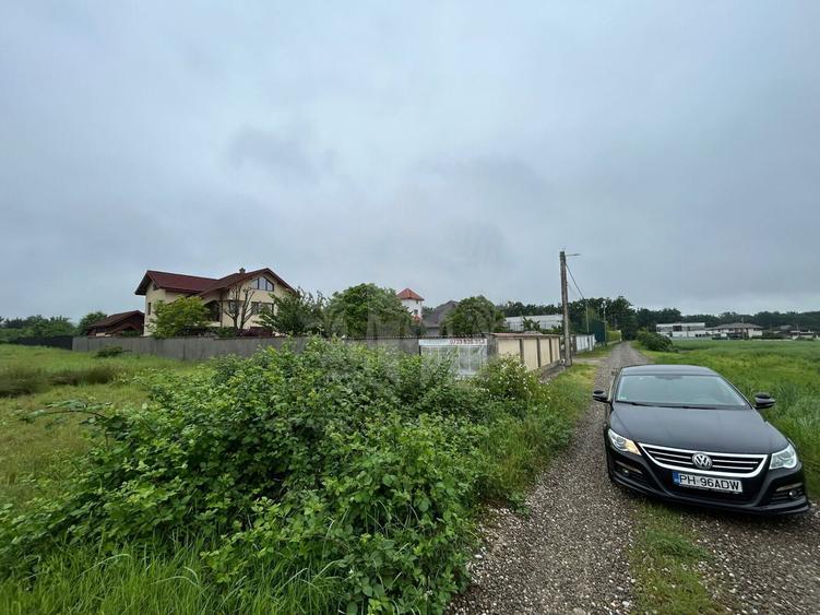 Teren Construcții intravilan de 9928 mp, în Păulești