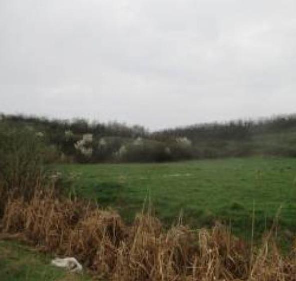 Teren agricol extravilan de 5900 mp, în Hălchiu