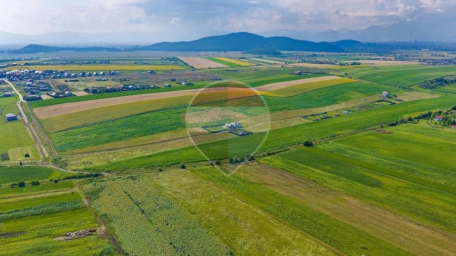 Teren 1400 mp intravilan Bod/ DE VANZARE! - 4