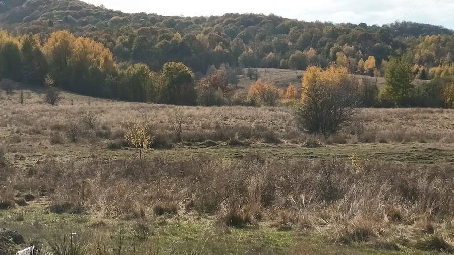Teren de 10156 mp, în Central