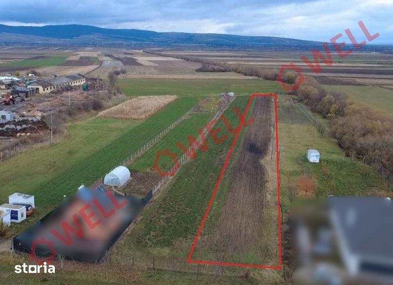 Teren de 2900 mp, în Valea Crișului
