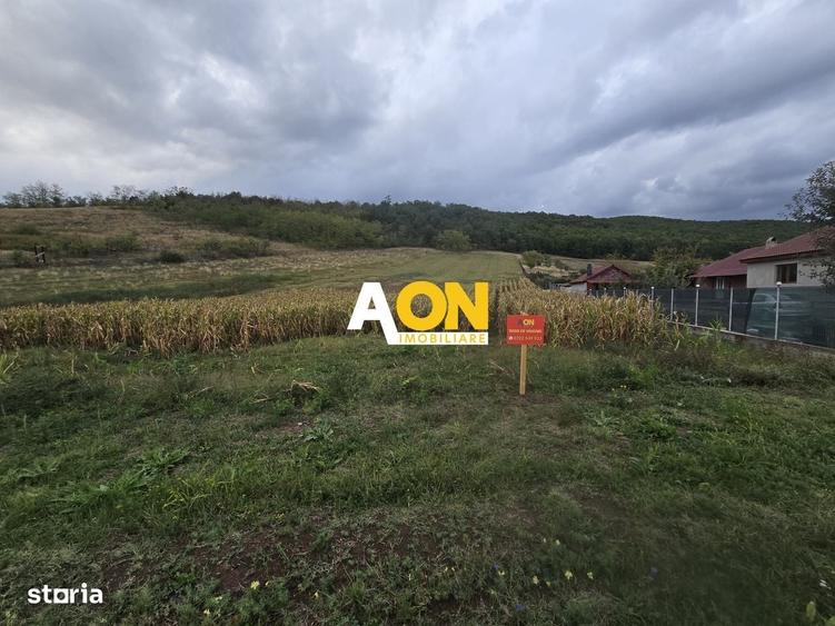 Spațiu comercial, în Hăpria