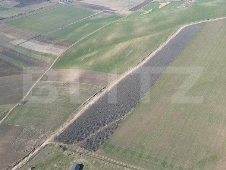 Teren Construcții intravilan de 45000 mp, în Dobrovăț