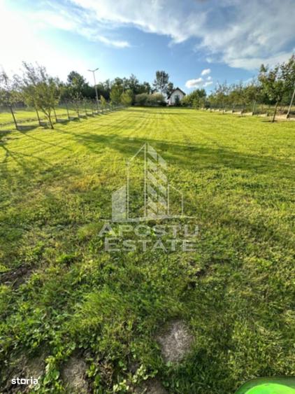 Casă cu Teren 31300 Mp în Central
