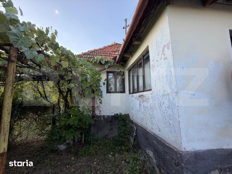 Casă cu 4 camere cu Teren 3596 Mp în Certeju de Sus