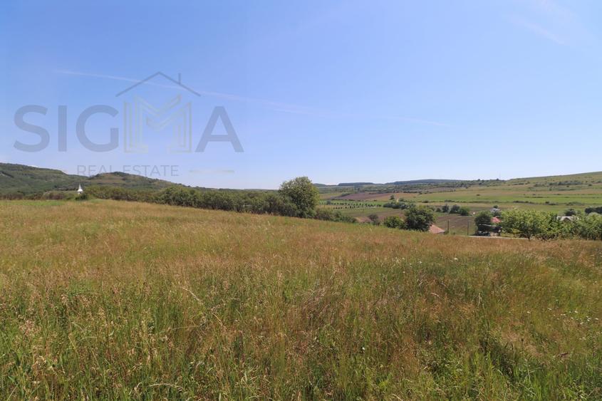 Teren Construcții intravilan de 3834 mp, în Băbuțiu