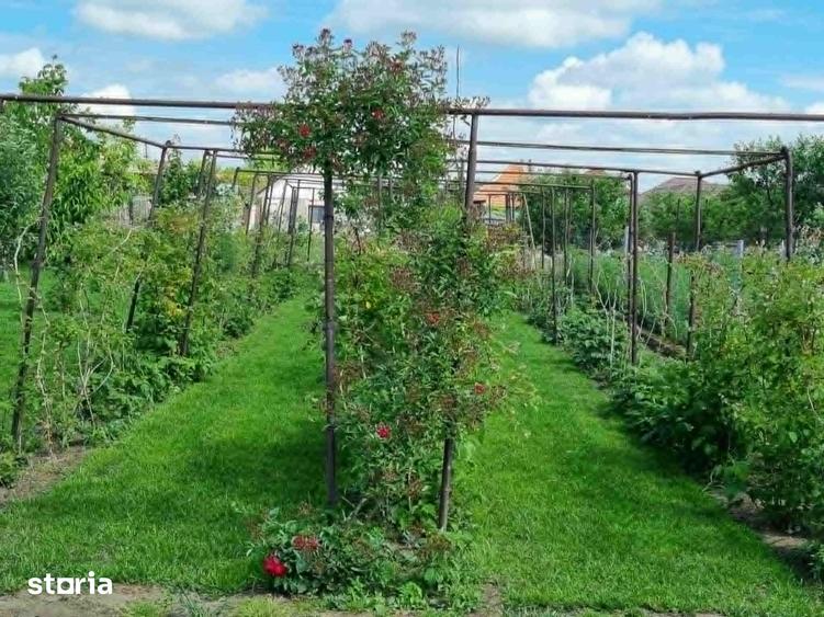 Casă cu 5 camere cu Teren 920 Mp în Central