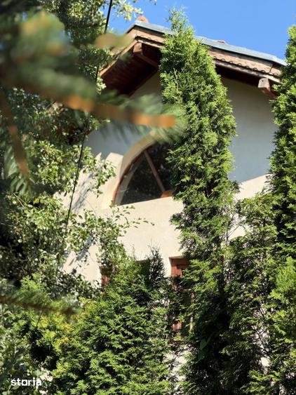 Vila cu iaz si vedere la padure | Leresti | 6 camere - 4