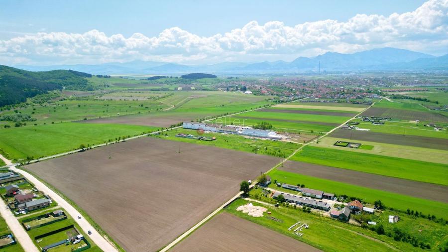 Teren Construcții intravilan de 31800 mp, în Sânpetru
