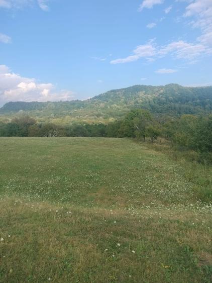 Spațiu comercial, în Domnești