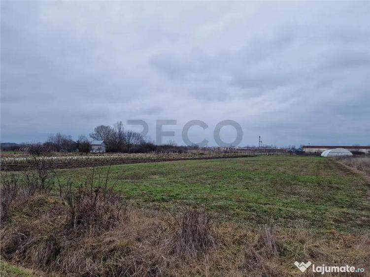 Teren de 1167 mp, în Borș