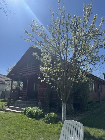 Casă cu 4 camere cu Teren 2500 Mp în Botei