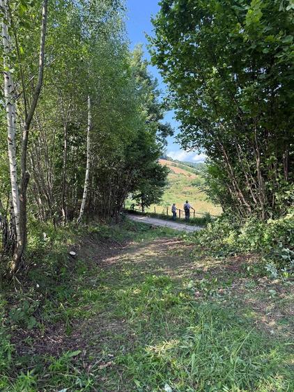 Teren de 11600 mp, în Poiana Mărului