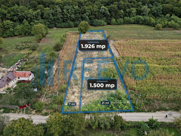 Teren Construcții intravilan de 3426 mp, în Racova