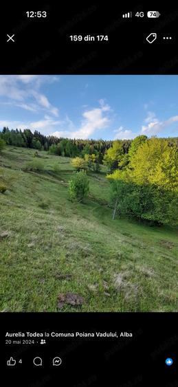 Teren de 50000 mp, în Petelei