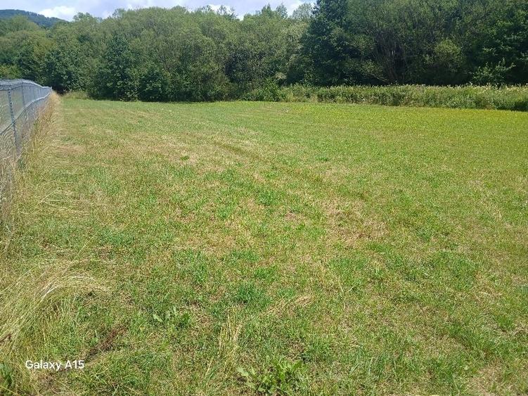 Teren de 1500 mp, în Săcădat