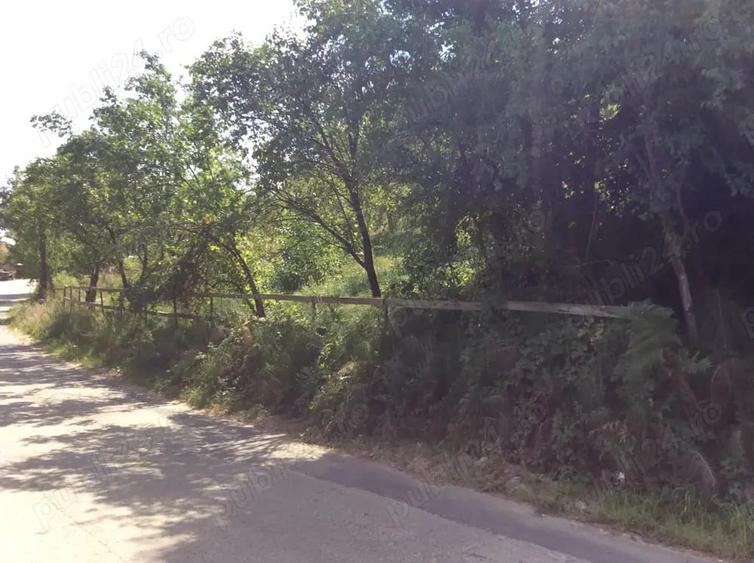 Teren de 887 mp, în Central