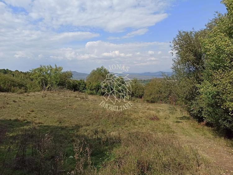 Teren agricol extravilan de 42200 mp, în Est