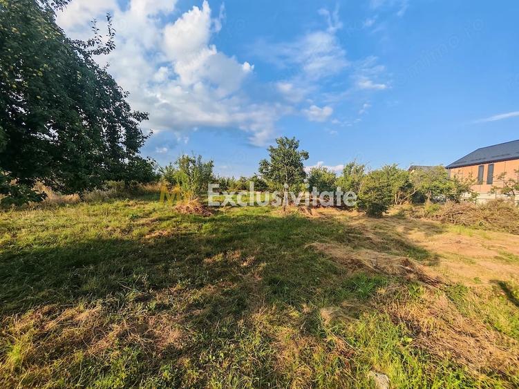 Teren de 1600 mp, în Central