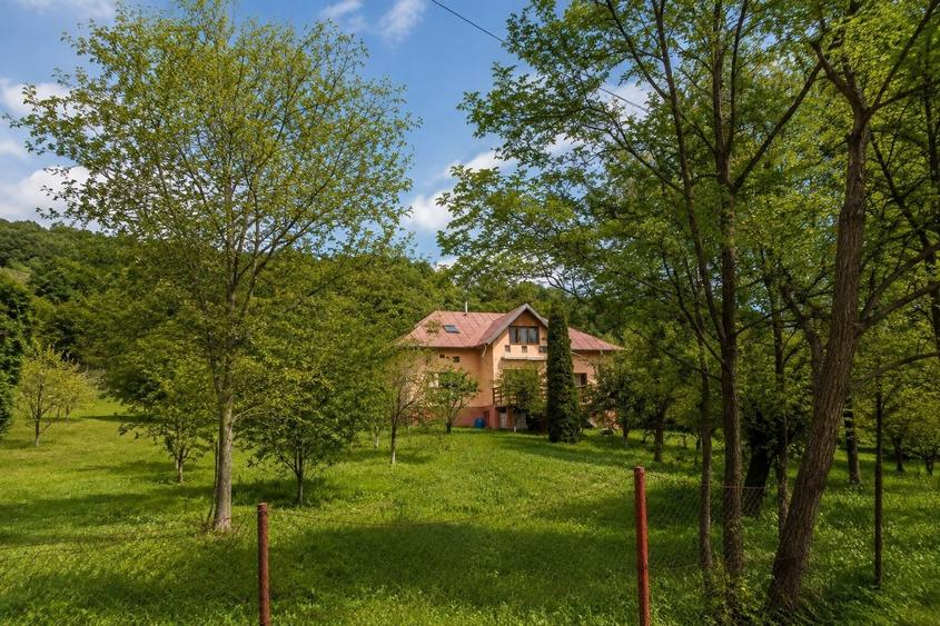 Casă cu 4 camere în Provița de Sus