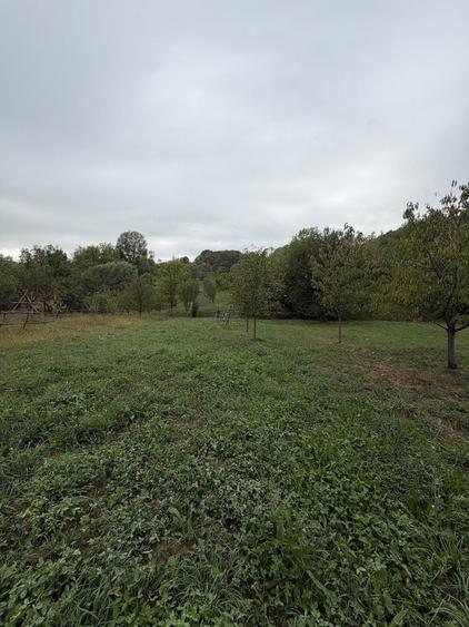 Spațiu comercial, în Sboghițești