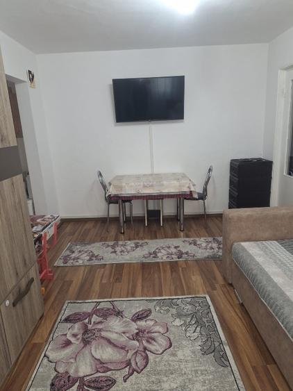 Apartament cu 2 camere semidecomandat în Viziru 3