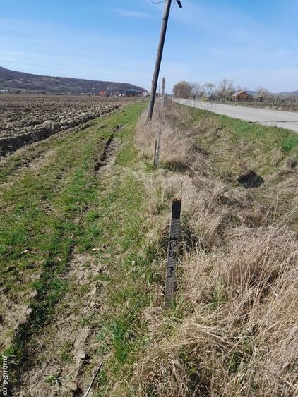 Teren de 4300 mp, în Arcalia