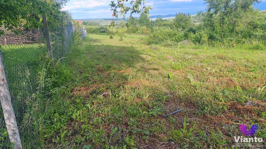 Teren Construcții intravilan de 1000 mp, în Daia
